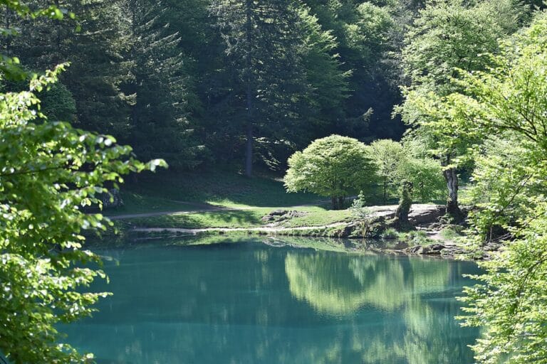 Lac de Bethmale : trésor naturel et légendaire des Pyrénées ariégeoises Lac de Bethmale